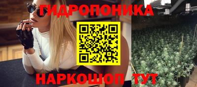сатива Балаково