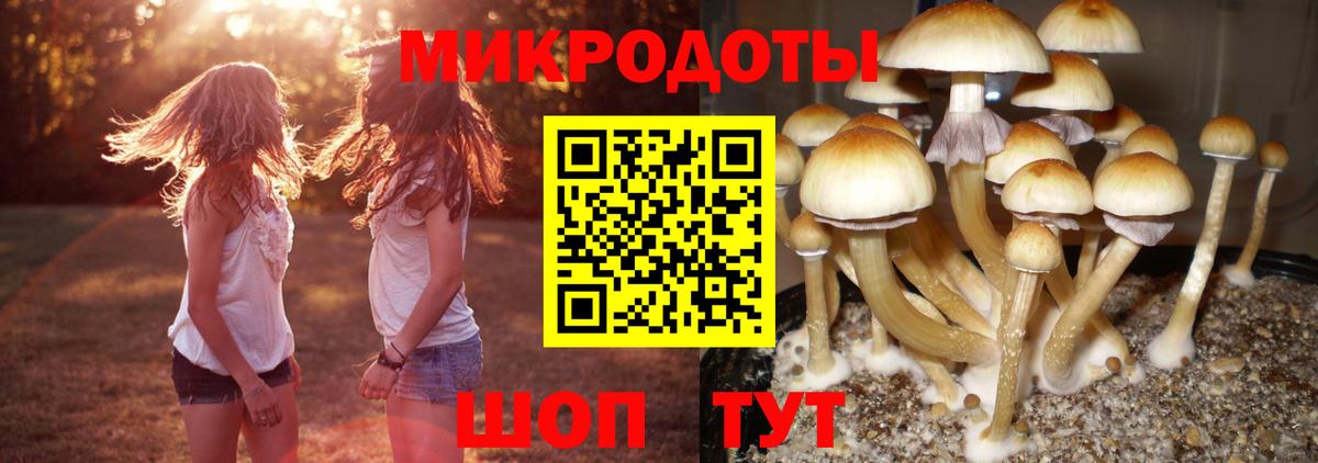 Галлюциногенные грибы ЛСД Железногорск
